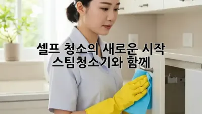 셀프 청소의 새로운 시작, 스팀청소기와 함께!